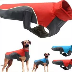 [골드스마일]애견 강아지 방수 옷 아웃도어 강아지 바람막이 패딩 대형견 산책