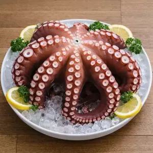 참맛나는 산지직송 국내산 제수용 활 돌문어 2kg (1미)