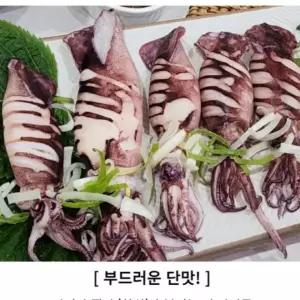 [해성처럼]  2kg 명절 소분 포장 총알 설날 냉동 한치