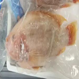 냉동 레드틸라피아 5마리