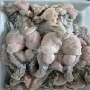 (한마음 미트) 영양만점 탈피 냉동 식용 개구리 베트남산 FROZEN WHOLE CLEANED FROG