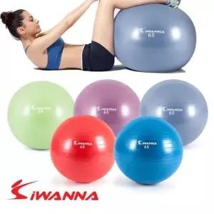 짐볼 마사지볼 다이엇 펌프포함 i워너 65cm (WFKKQT6)