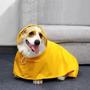 중형견 우비 올인원 방수옷 비오는 날 산책시 필수 아이템 애견비옷 강아지우비 강아지옷