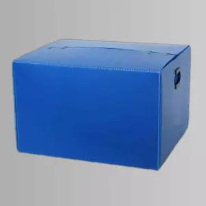 단프라박스 왕대