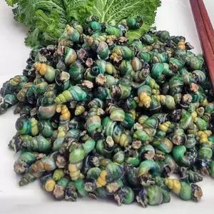 영월 동강 자연산 깐다슬기 400g x 5팩