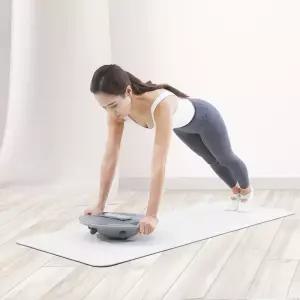 이고진 밸런스보드 안전볼 균형감각상승 밸런스운동 지압발판