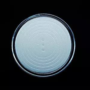 수집필수용품 스펀지 코인캡슐(낱개)