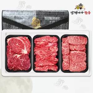 1++ 국내산 한우선물세트 구이용 갈비살 살치살 등심