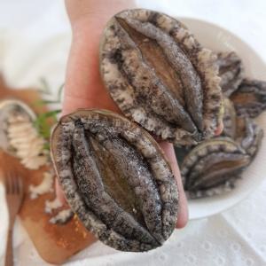 직접키운 완도전복 명품 특대1kg 10미 팔팔씨푸드 가정용 횟감용 찜용 꼬마전복