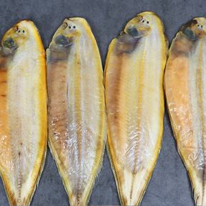 국산 서천 반건조 박대 (제수용 가정용) 개별포장 국산박대 말린생선 손질생선 산지발송