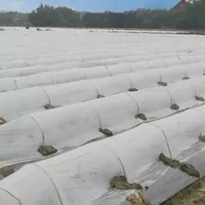 고품질 텃밭 농막 소형 비닐하우스 비닐 2m x 10m 하우스용 (WFH2S0B)