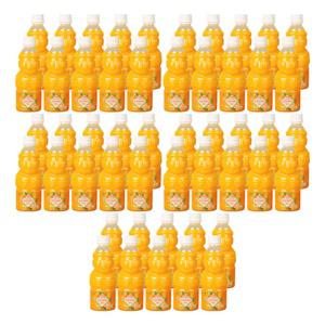 제주향 감귤 천혜향 100 프로 착즙 주스 330ml (50개) NFC 제주 천연 프리미엄