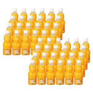 제주향 감귤 천혜향 100 프로 착즙 주스 330ml (48개) NFC 제주 천연 프리미엄