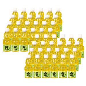 제주향 청귤 100 프로 착즙 주스 330ml (48개) NFC 제주 리얼 천연 프리미엄