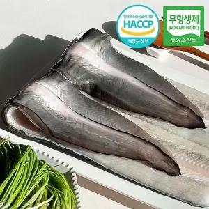 [NS홈쇼핑][무항생제] 양양 자포니카 민물장어 1kg(1-3미,손질후600g내외)..[35084334]