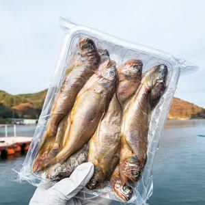 한그슥 국내산 참조기 500g 비손질 제수용 생선 구이 조림용 냉동조기 진공포장