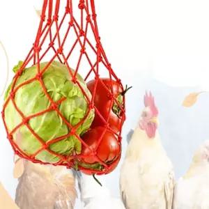 그집그물건 모이주머니 닭 병아리 과일