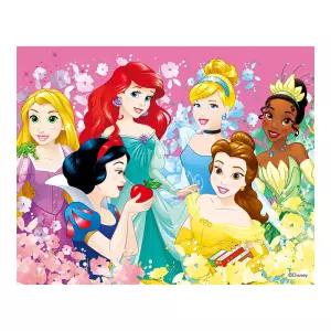 DIY 보석십자수 디즈니 프린세스 40x50cm 캔버스형
