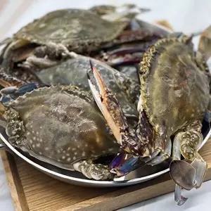 [지투지샵]국내산 급냉 선동 꽃게 1kg