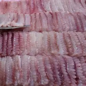 생홍어 흑산도 홍어회 삭힌홍어 모든순간 홍어 1kg 회