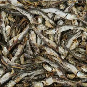 [품질보장] 이순신수산 남해통영 멸치 다시멸치 1.5kg [하] (다시,육수용)