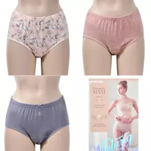4중 흡수층 쾌적하게 착용이 가능한 요실금 에티켓 팬티 3매입/여성/언더/웨어/생리/단색/중년/위생/아줌마