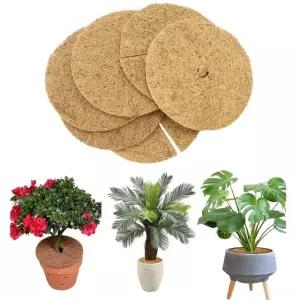 화분 흙 커버 코코넛 덮개 식물 가드닝 흙날림 대 10p (WFK9F1M)