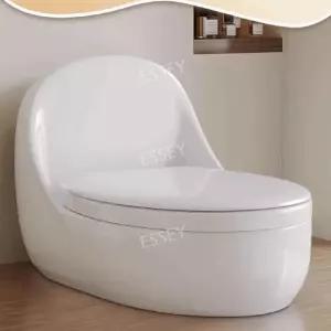 낮은 양변기 300 설치 화장실 좌변기 옛날 노인용 재래식 변기 피트