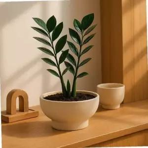 베트남 토분 테라원 수국 미니 16x7cm