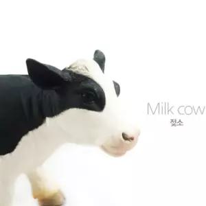 리얼 실감 젖소 가축 동물 모형 유아 완구 미니어처 장난감 얼룩소 소프트 피규어 어린이집 교육용 역할 놀