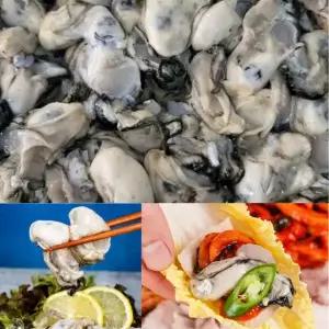 굴 깐생굴 1kg 통영 nv fg7