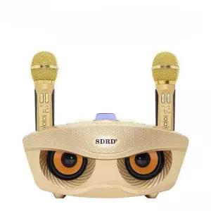 휴대용 노래방기계 마이크 가정용 반주기 이동식 차량용