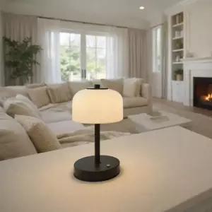 라움데코 오케이 3단터치밝기조절 무드등 단스탠드