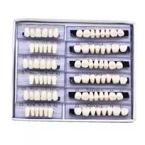RZJZGZ 168개 치과용 합성수지 치아 틀니 임시 의치 6개 세트 23 A2