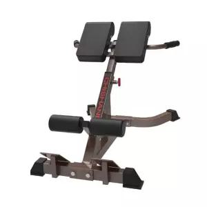 헬스장 백익스텐션 기구 복근 가정용 암컬 헬스 운동 피트니스