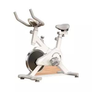 헬스 감량 사이클 자전거 체중 스피닝 가정용 홈트