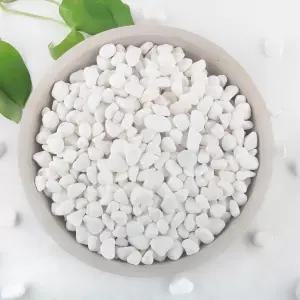 식물을 위한 멀툰 2Lb 흰색 암석 1/4 -3/4인치 자갈 꽃병을 장식용 돌 화분을 어항 정원 및 가정 작은