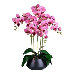 호접란 조화화분 서양란 5종 인테리 도자기 연퍼플 장식 축하 인테리어 사무실