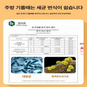 고양이 치아관리 양치물티슈 간편한사용 펫바스