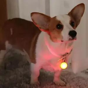 반려동물 야간산책 LED펜던트 OC1065 라이트목걸이1P