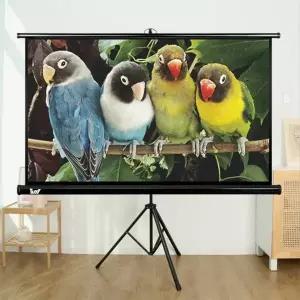 [태리]빔프로젝터 스크린 16:9 와이드 빔스크린 100인치 삼각대 일체형 유압 족자 가정용 캠핑용 휴대