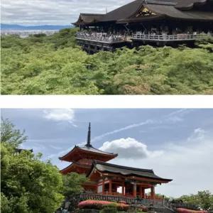 팬스타 타고 오사카 근교여행 4박5일