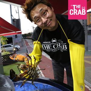 캐나다 활 랍스타 500g 700g 1kg 바닷가재 랍스터