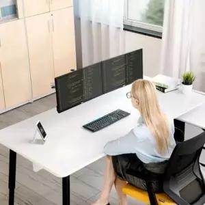 경제형 핸드 착불배송 트럭 파렛트 메가리프트 2.5T (WFH0S0B)