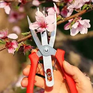 쌍칼 원예가위 전지 전정 나무 과수원 정원 조경가위 양날가위 적과가위 양날과일가위 과일가위