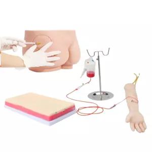 엉덩이모형 연습용 교육용 교육 모듈 실습 주사수업