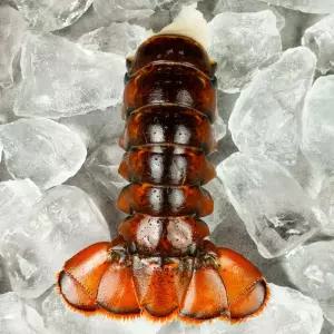 [2월 행사] 랍스터 테일 1마리 랍스타 꼬리