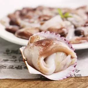 [친환경팔도][산지직송] 여수 자연산 손질 새조개 1.5kg(손질후 300g내외)