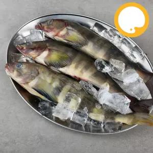 임연수 이면수어 냉동, 18kg 약33~37마리 업소용 벌크 도매