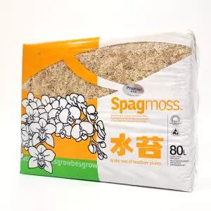 수태 뉴질랜드산 프리미어 AAA 1kg 압축 천연 이끼 3A 몬스테라 호접란 풍란